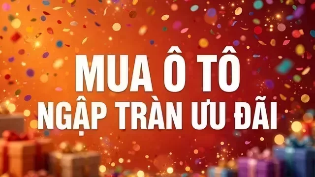 Địa điểm hỗ trợ xem xe tại Bình Dương